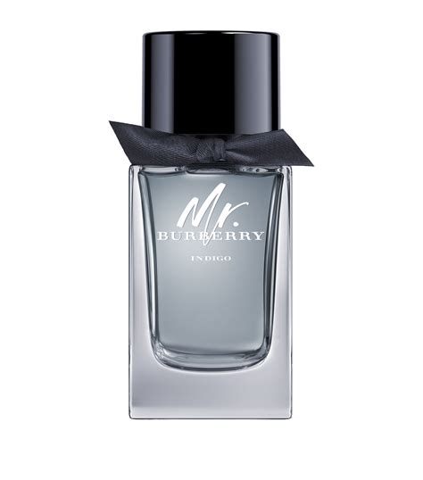 burberry mr eau de toilette|mr Burberry indigo fragrantica.